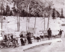 Nom-de-code-Poilus-d'Alaska-2