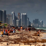 Le sable, enquete sur une disparition