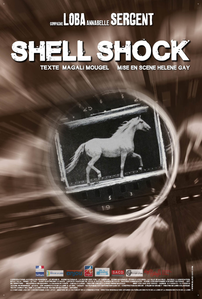 Shell shock - Affiche - crédit photo_Albert