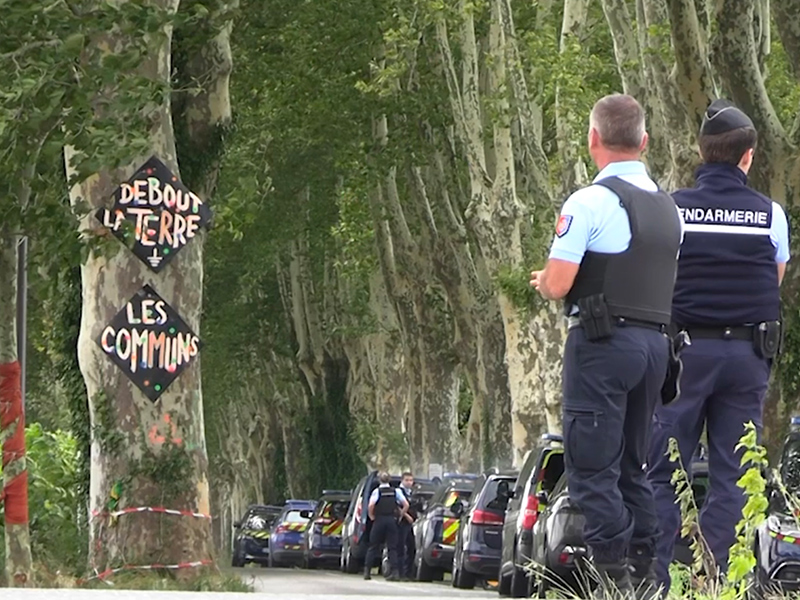 GUERRE-DES-ARBRES